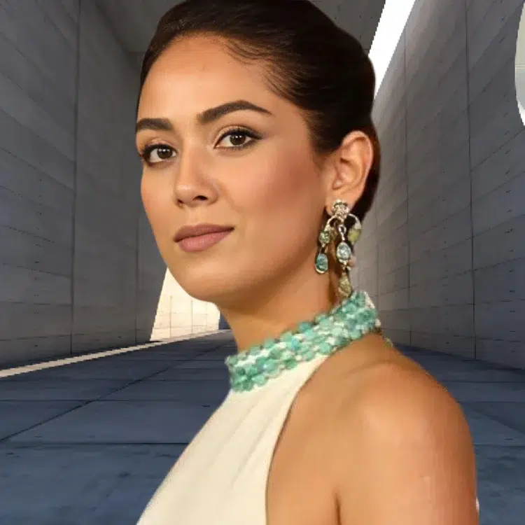 Mira Rajput Wiki Biography, Age, Height, Family, Husband, Personal Life, Career, Net Worth